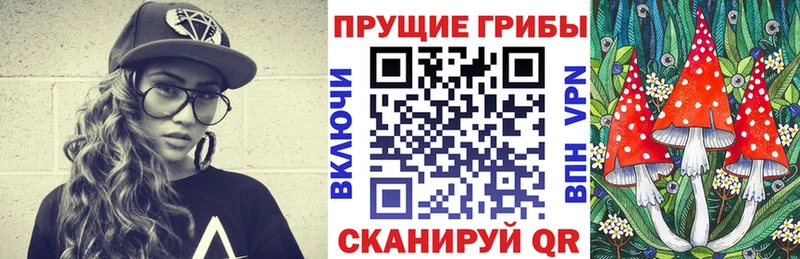 где можно купить   Юрьевец  Галлюциногенные грибы Psilocybine cubensis 