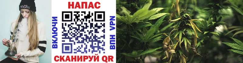Канабис SATIVA & INDICA  Юрьевец 